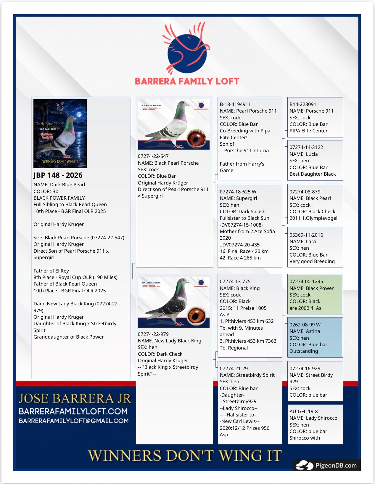 Dark Blue Pearl JBP 148-2026 pedigree