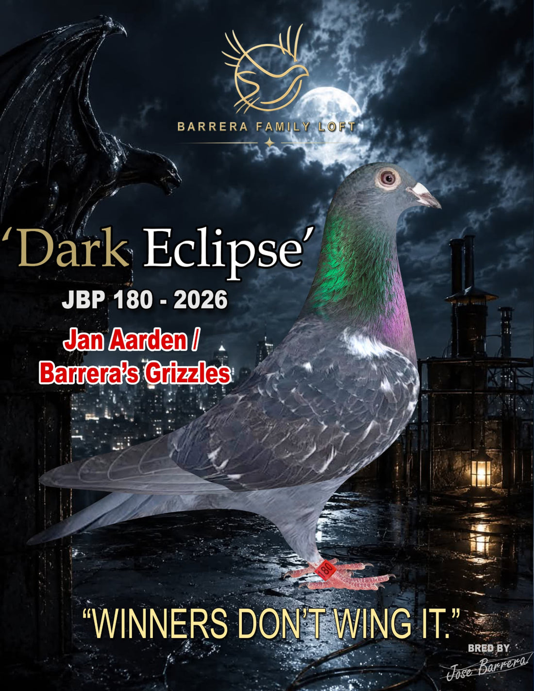 Dark Eclipse JBP 180-2026 racing pigeon from Barrera Family Loft