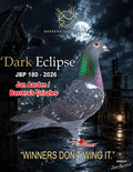 Dark Eclipse JBP 180-2026 racing pigeon from Barrera Family Loft