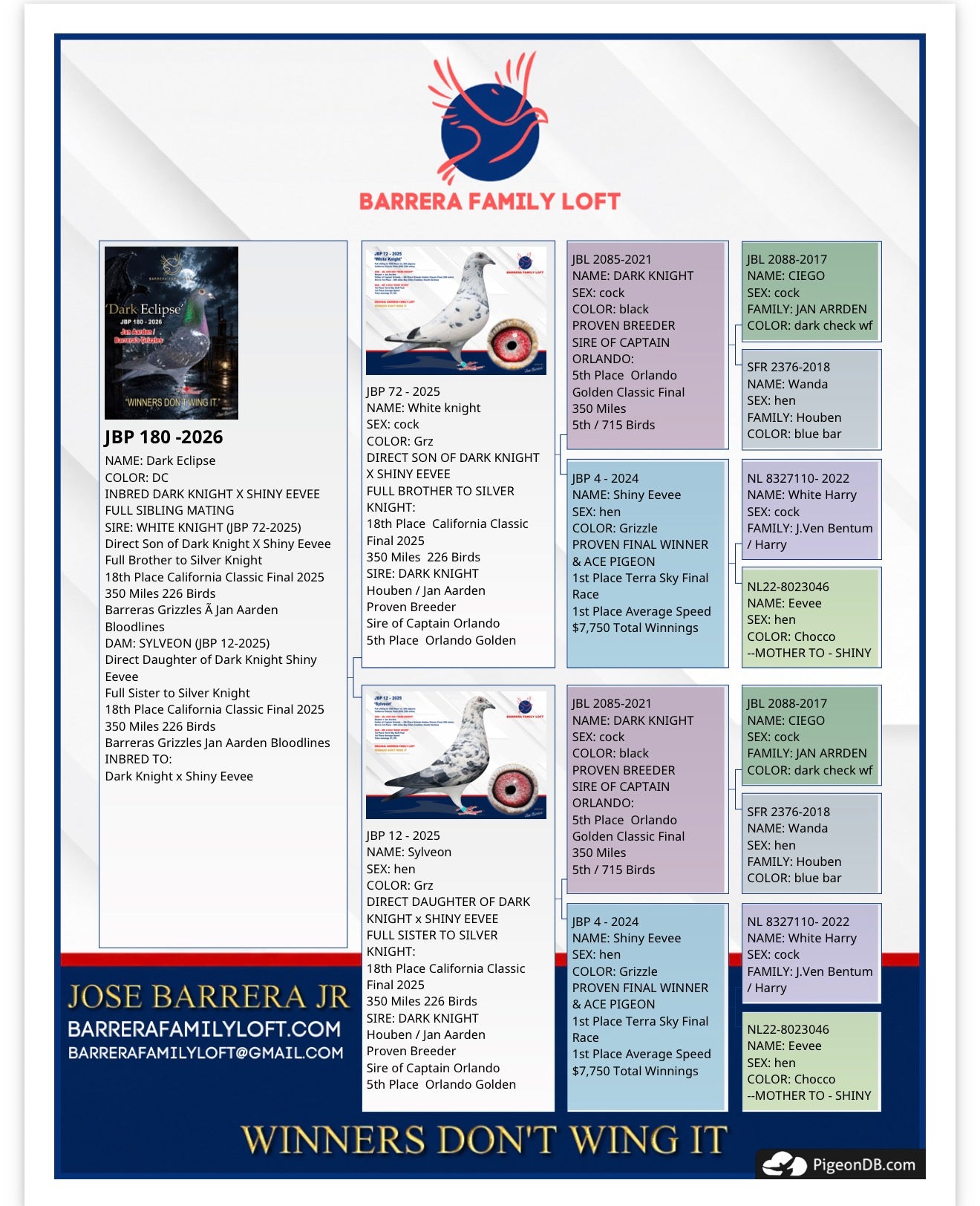Pedigree card for Dark Eclipse JBP 180-2026