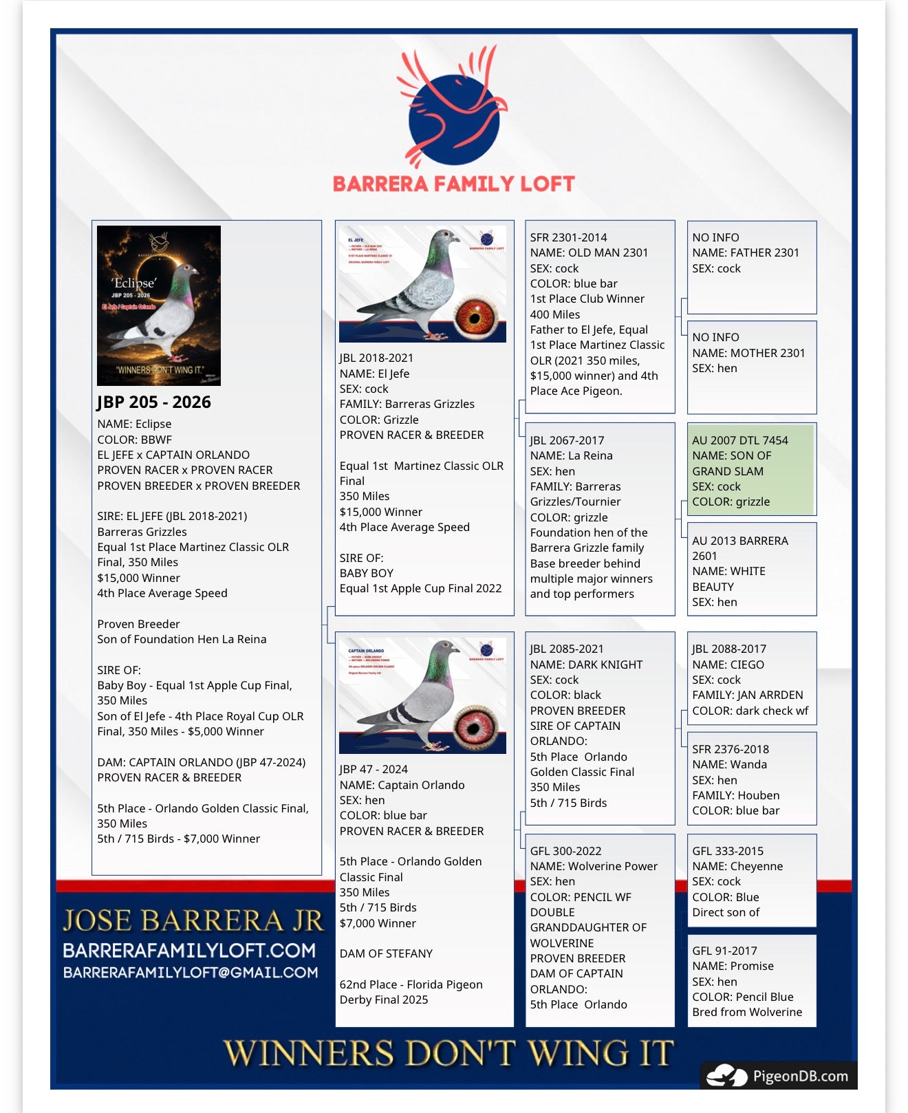 Pedigree card for Eclipse JBP 205-2026