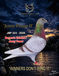 Jenny Power II JBP 223-2026 racing pigeon from Barrera Family Loft