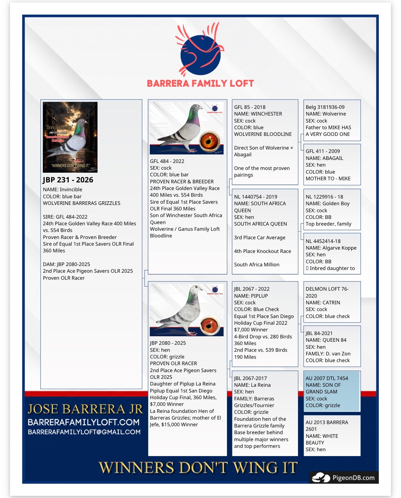 Pedigree card for Invincible JBP 231-2026