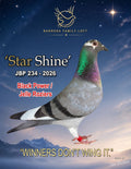 Star Shine JBP 234-2026 racing pigeon from Barrera Family Loft