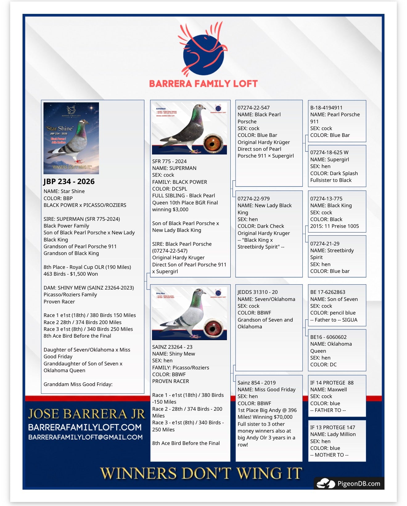 Pedigree card for Star Shine JBP 234-2026