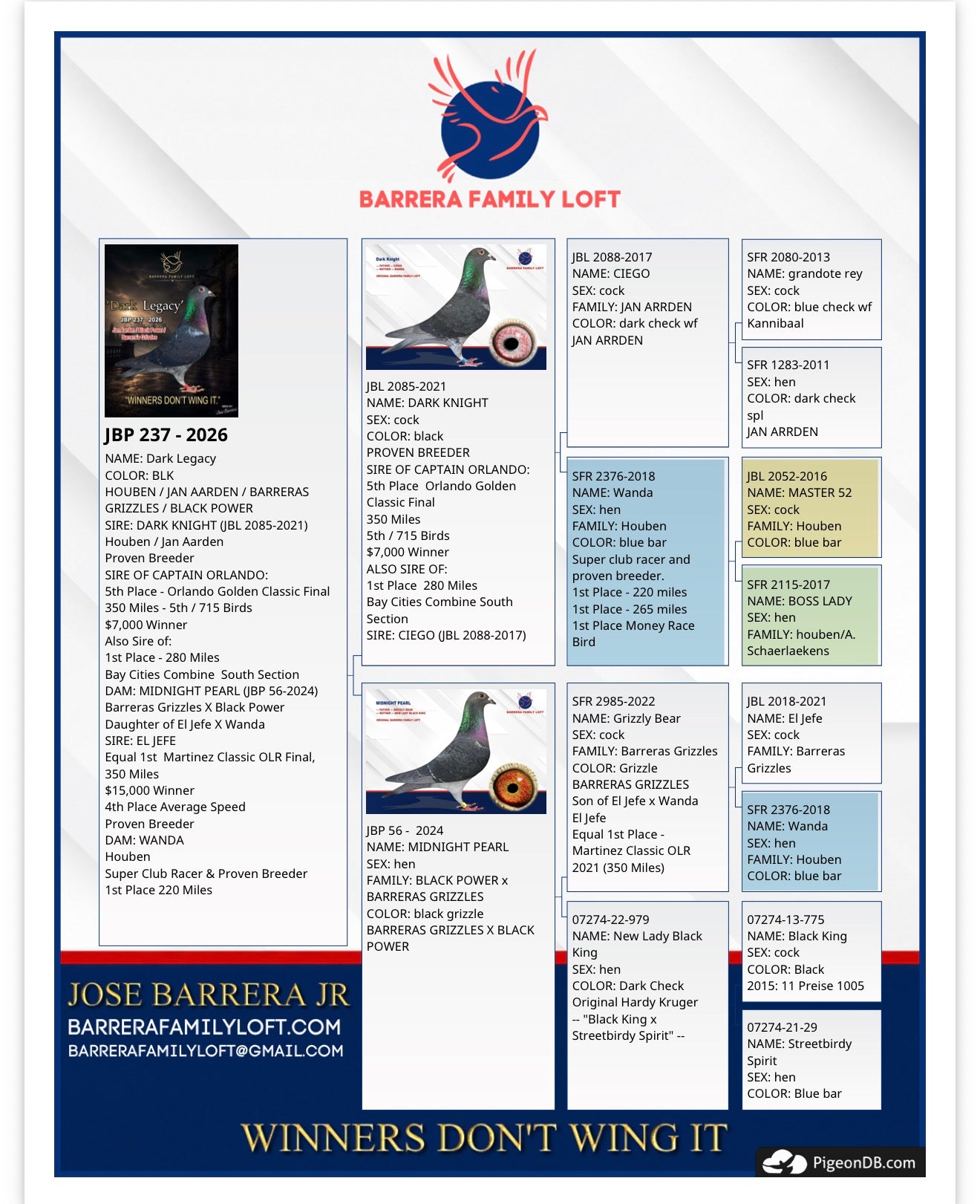 Dark Legacy JBP 237-2026 pedigree card