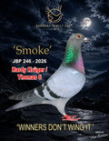 Smoke JBP 246-2026 racing pigeon