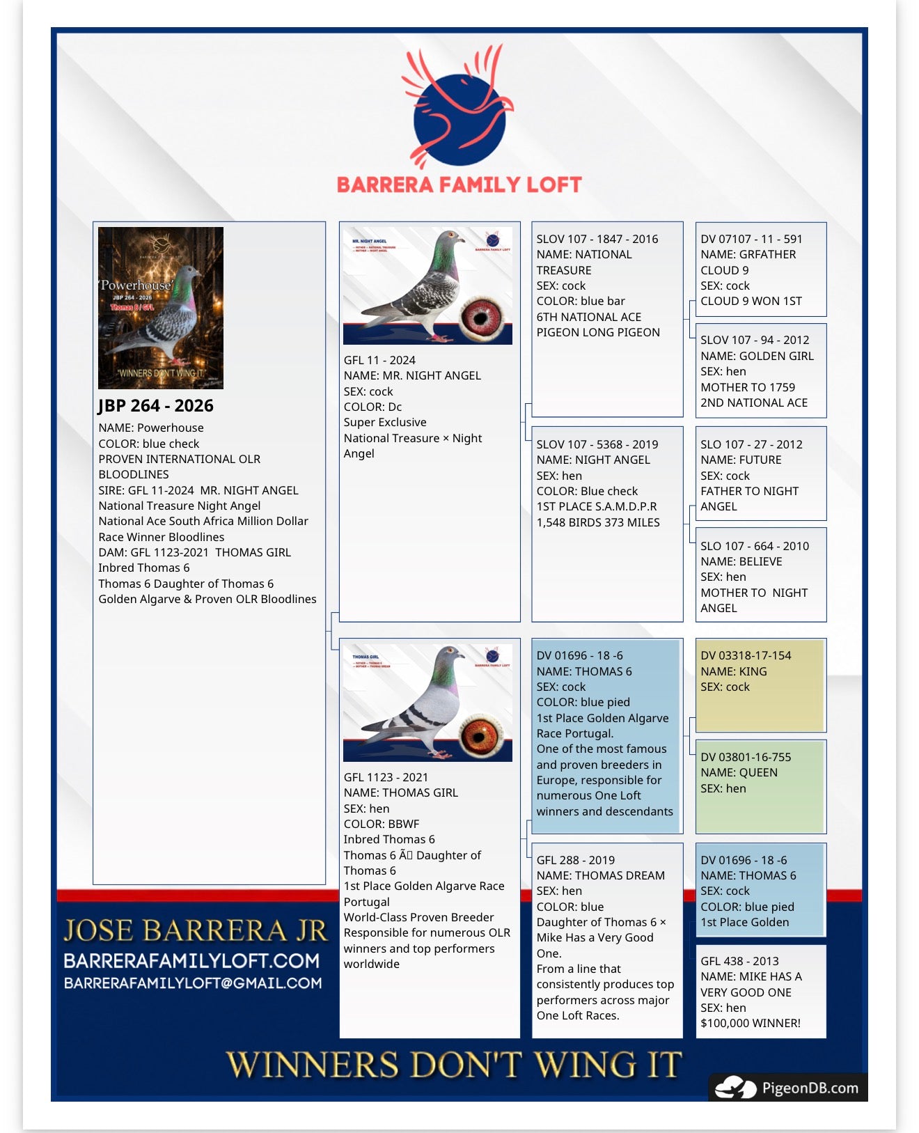 Pedigree card for Powerhouse JBP 264-2026