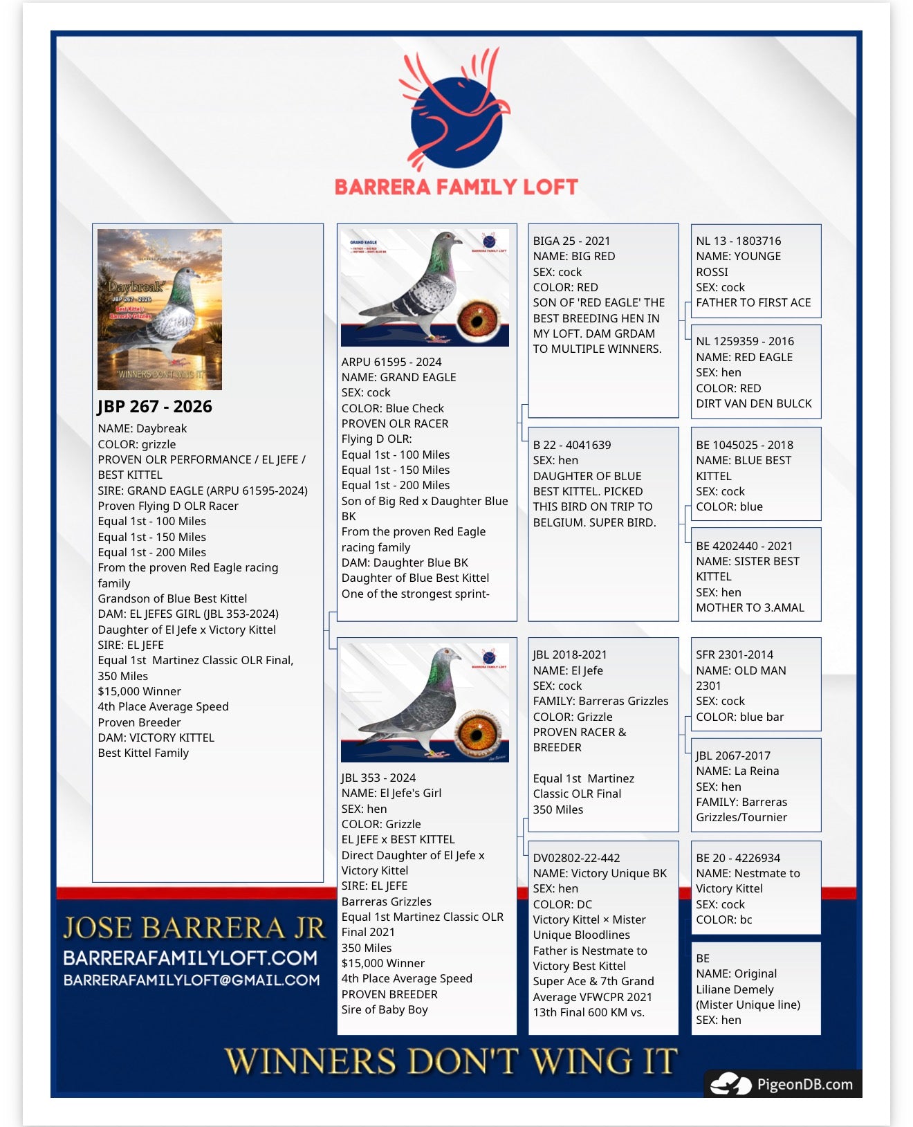 Pedigree card for Daybreak JBP 267-2026
