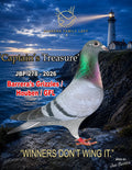 Captain's Treasure JBP 278-2026 racing pigeon