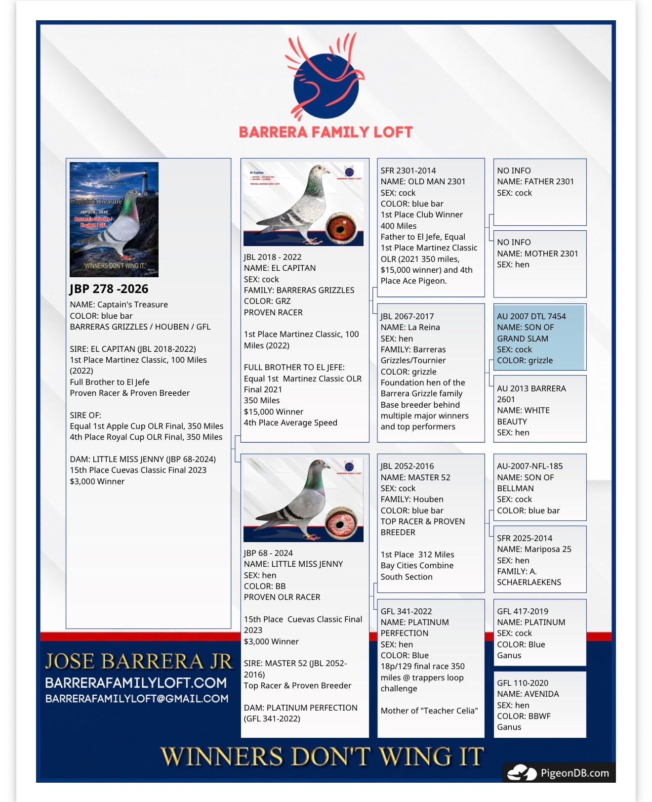 Pedigree card for Captain's Treasure JBP 278-2026