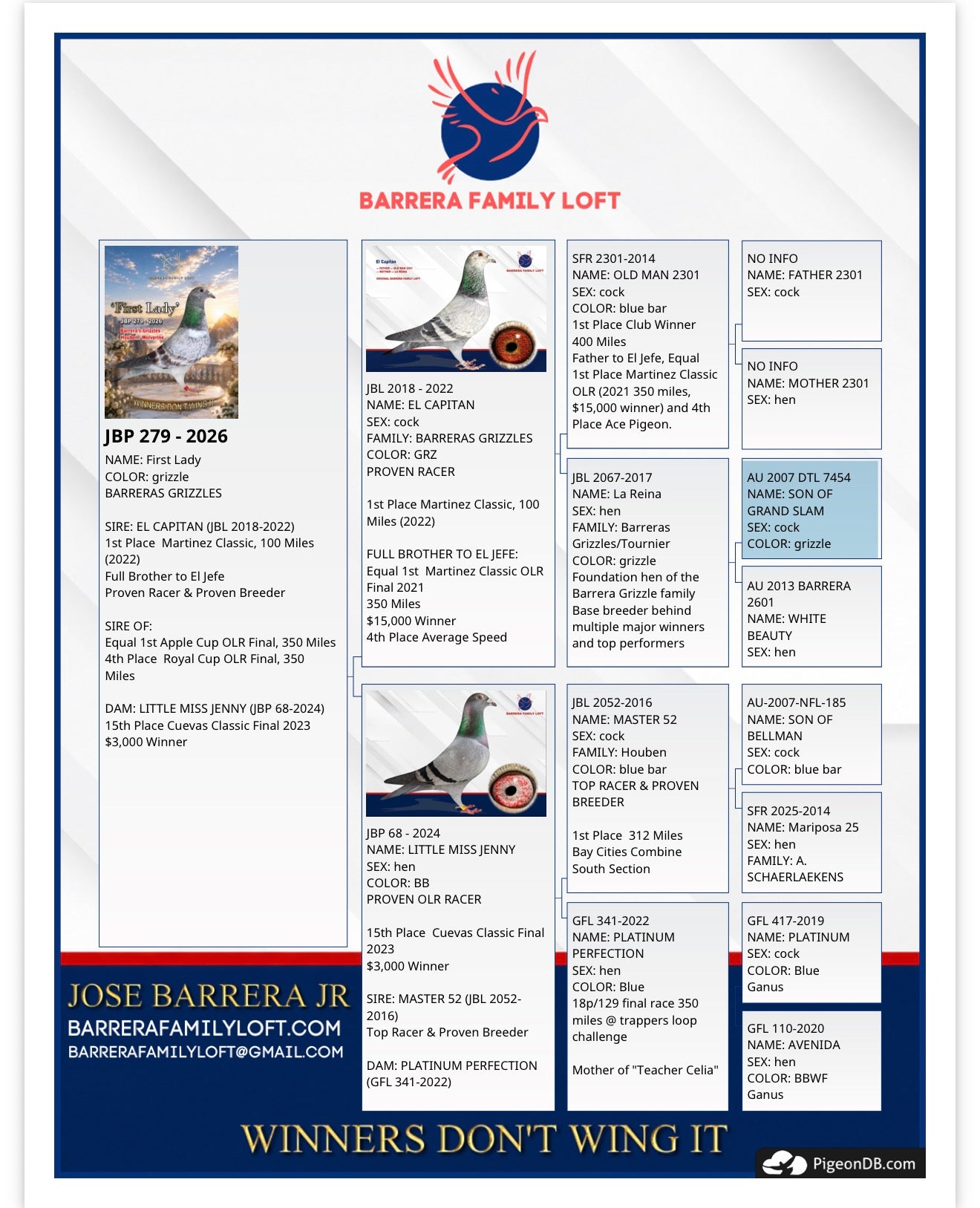 Pedigree card for First Lady JBP 279-2026