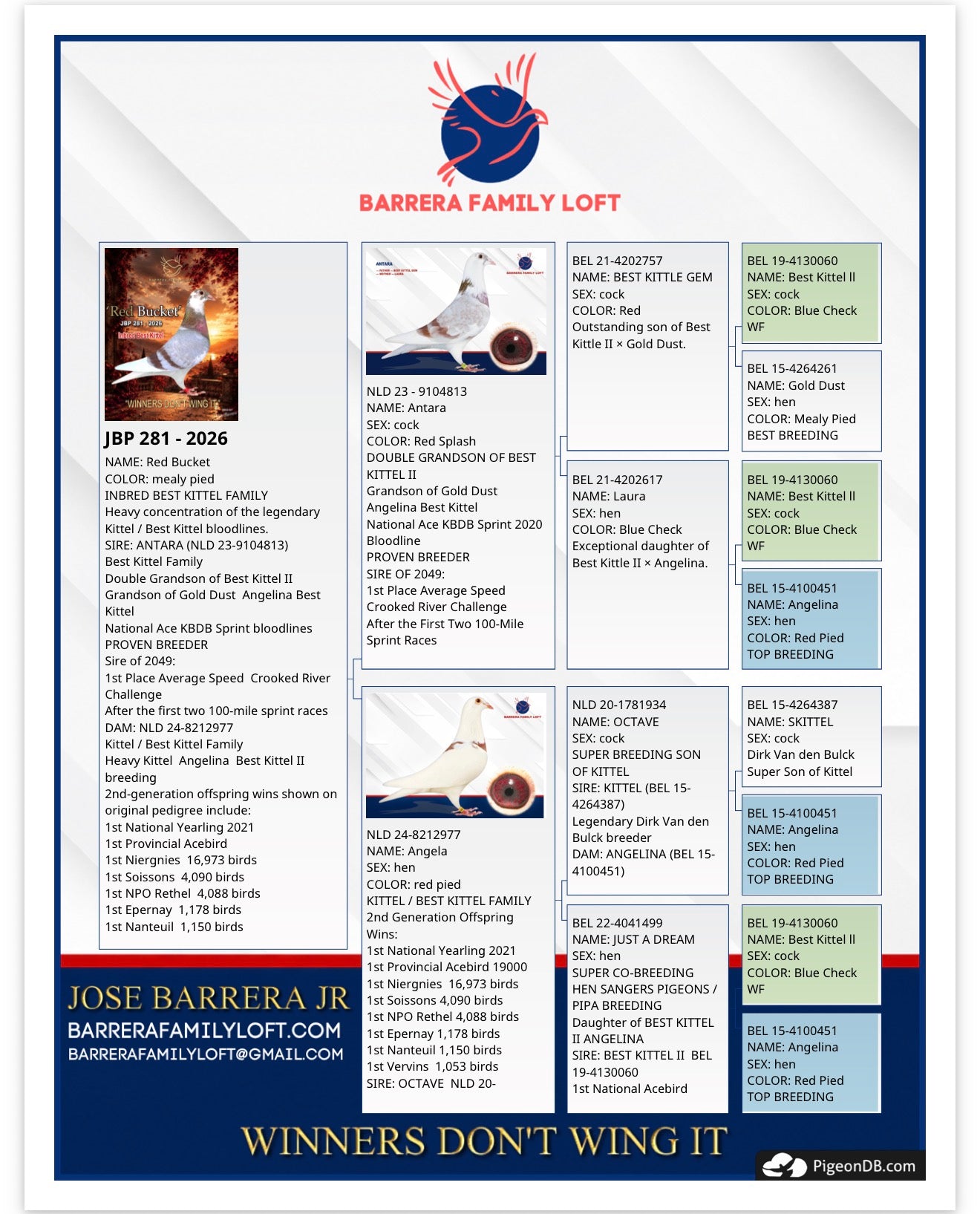Pedigree card for Red Bucket JBP 281-2026