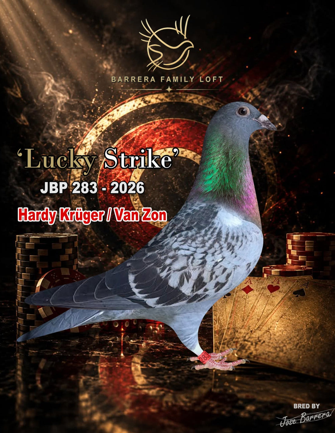 Lucky Strike — JBP 283-2026 racing pigeon