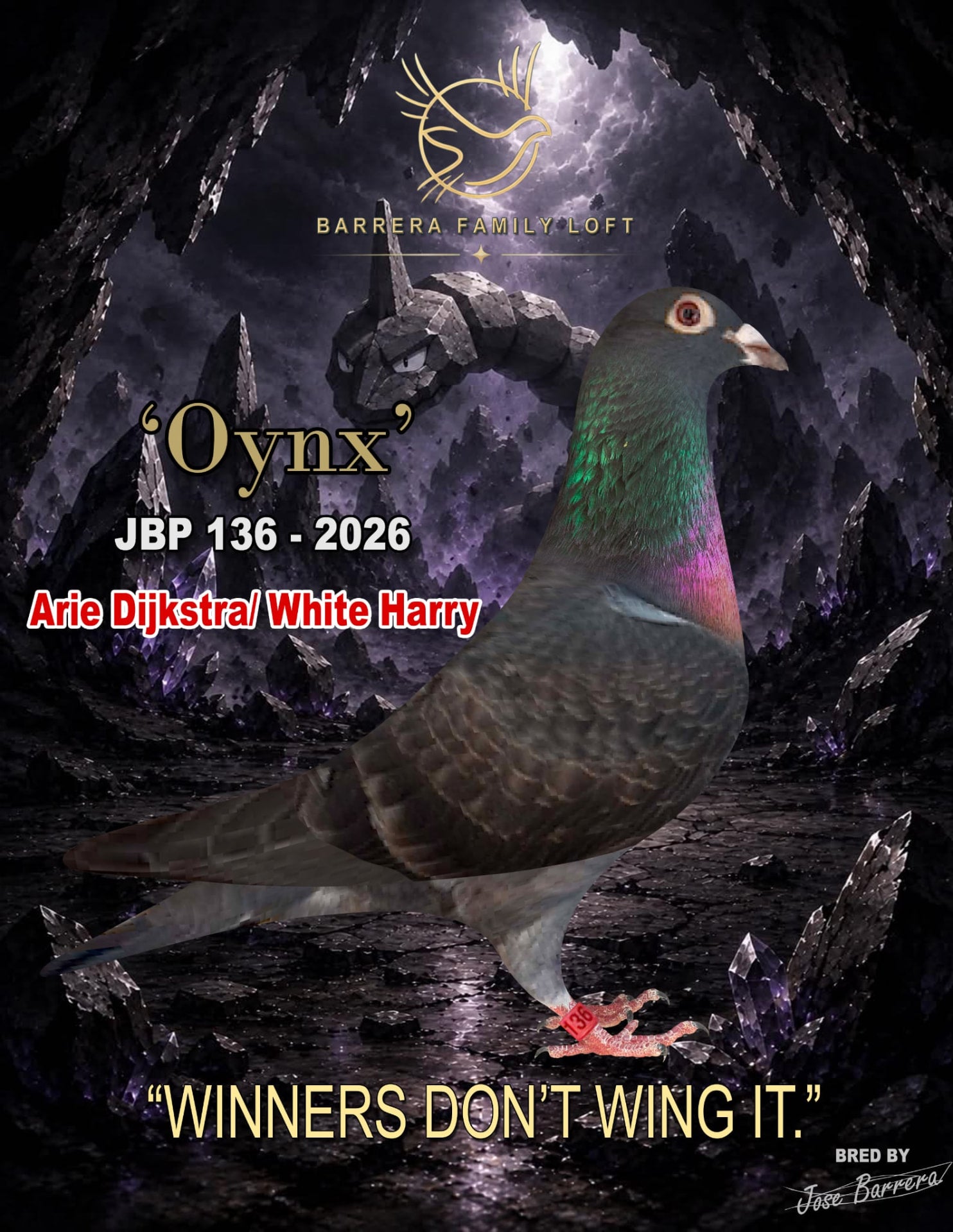 Oynx — JBP 136-2026, Arie Dijkstra / White Harry racing pigeon bred by Barrera Family Loft