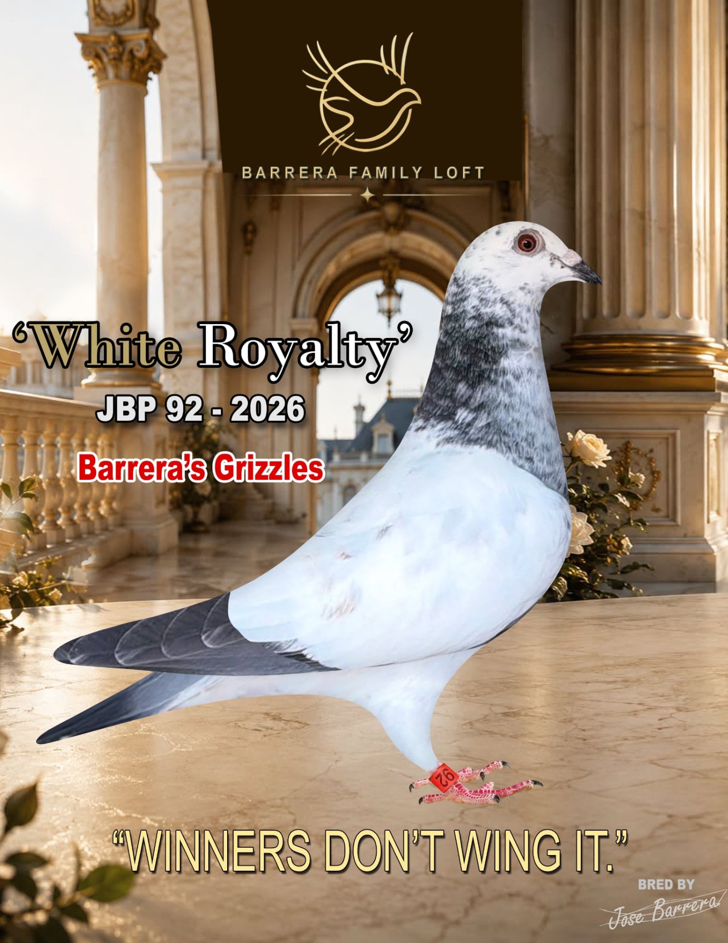 White Royalty JBP 92-2026 racing pigeon from Barrera Family Loft