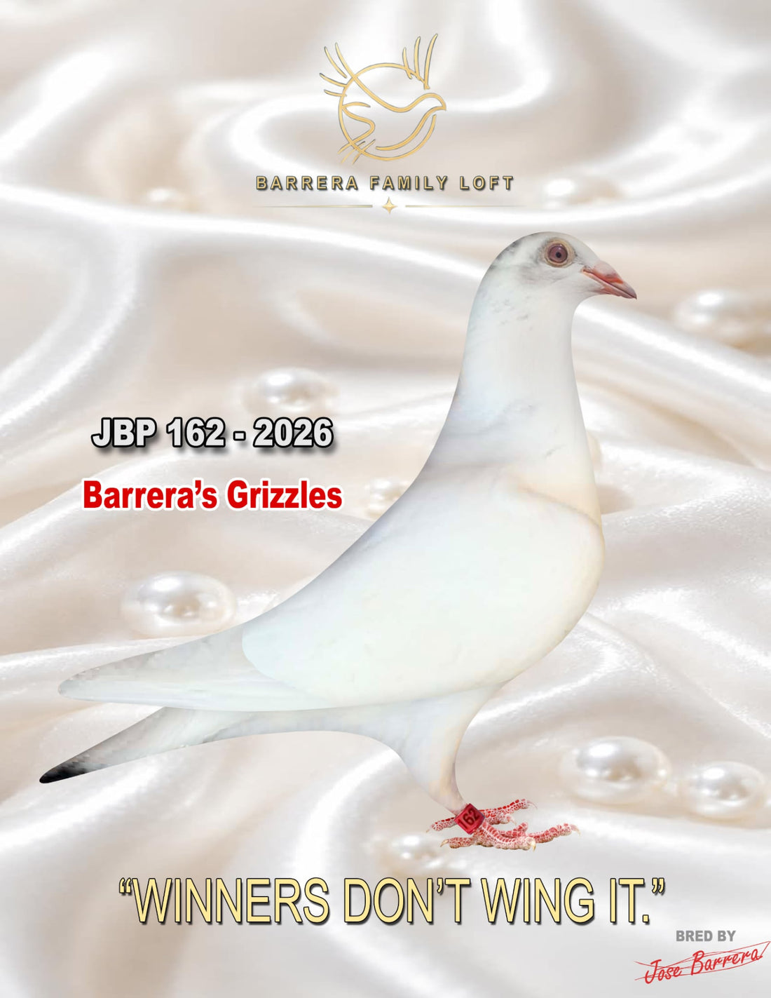White Girl — JBP 162-2026, Barrera's Grizzles racing pigeon bred by Barrera Family Loft