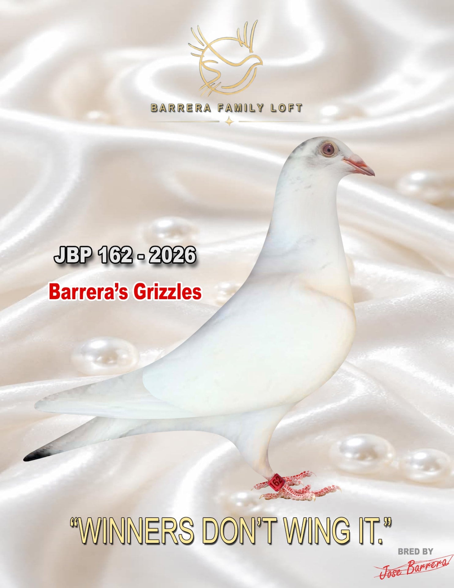 White Girl — JBP 162-2026, Barrera's Grizzles racing pigeon bred by Barrera Family Loft