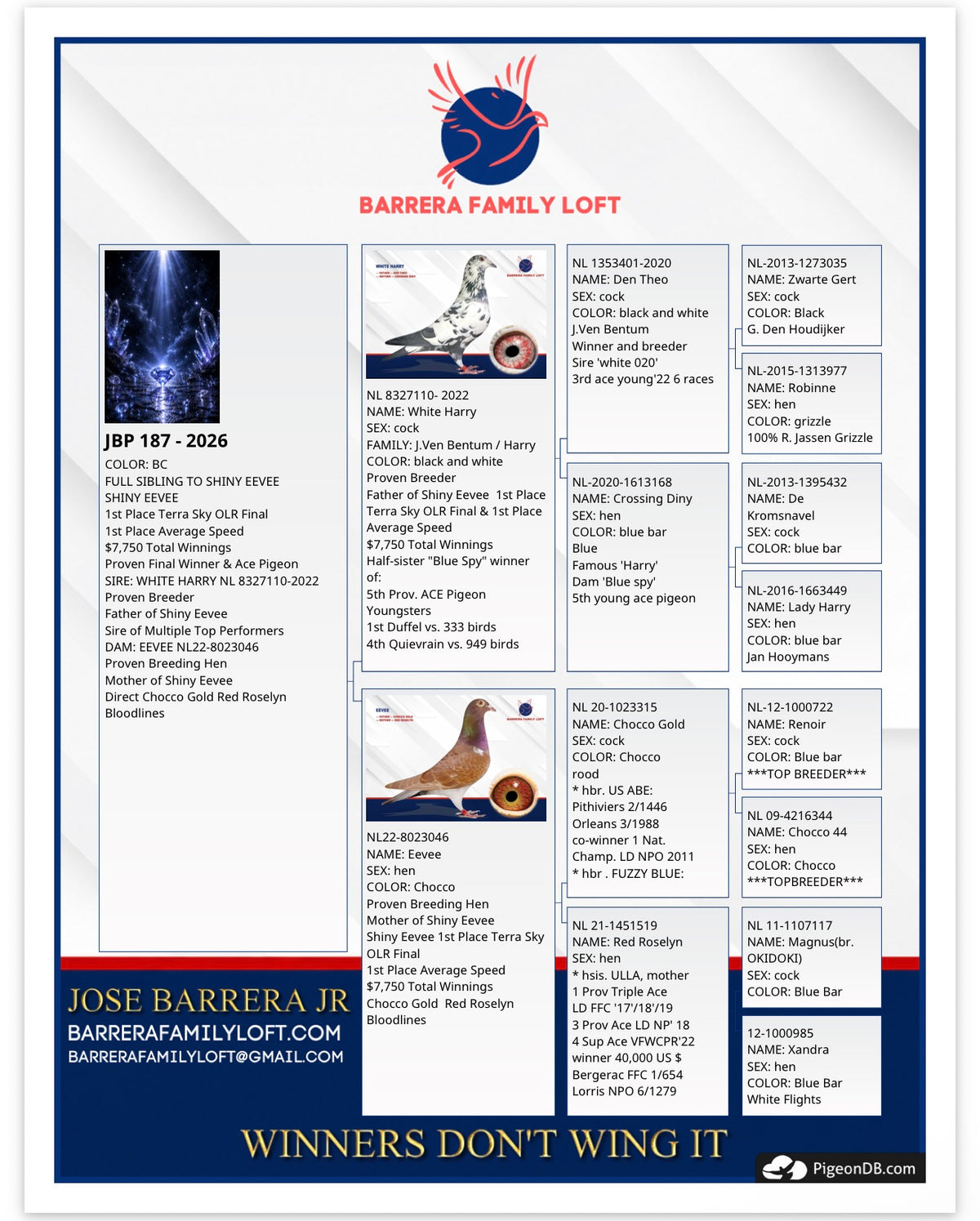 Shiny Jewel JBP 187-2026 pedigree card