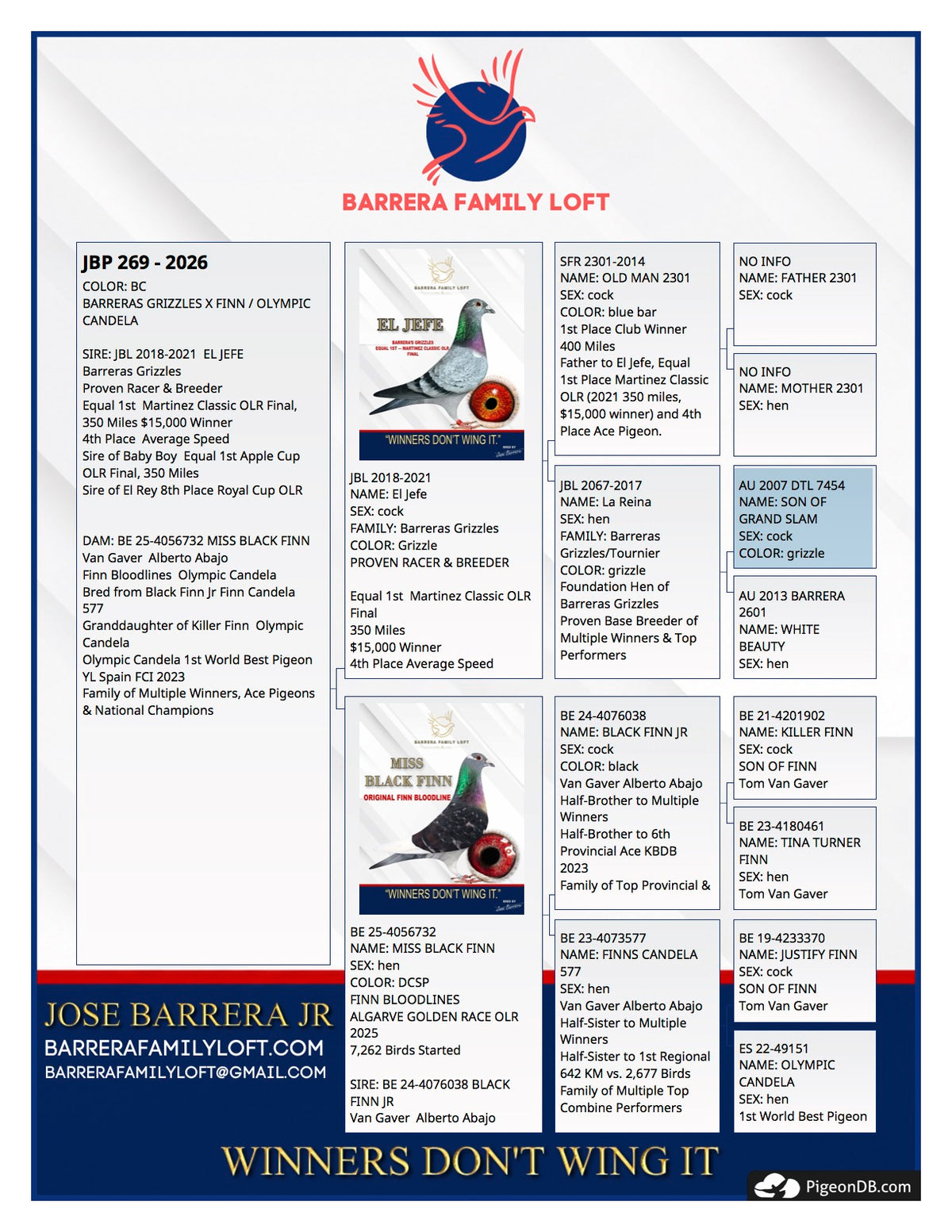 Bright Finn JBP 269-2026 pedigree card