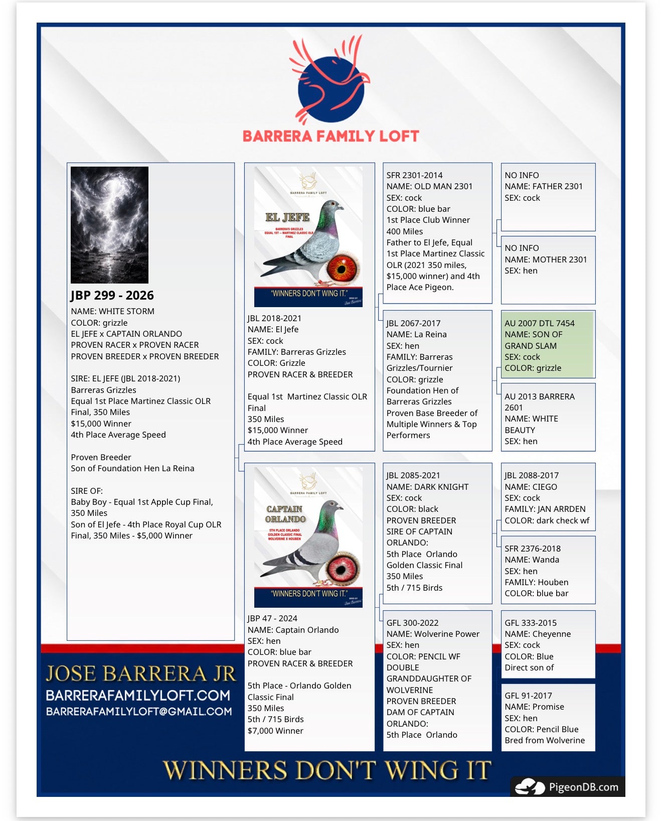 White Storm JBP 299-2026 pedigree card