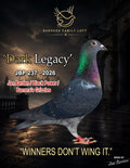 Dark Legacy JBP 237-2026 racing pigeon from Barrera Family Loft