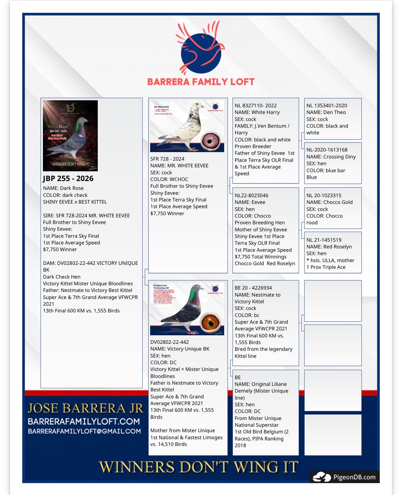 Pedigree card for Dark Rose — JBP 255-2026