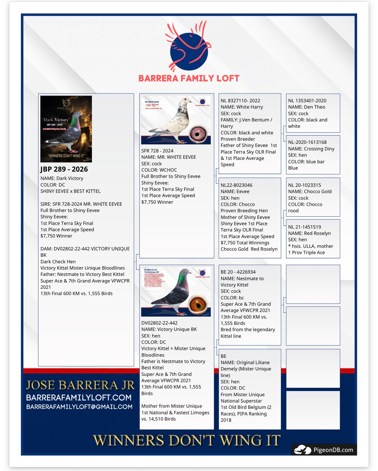 Pedigree card for Dark Victory — JBP 289-2026