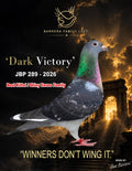 Dark Victory — JBP 289-2026 racing pigeon bred by Jose Barrera