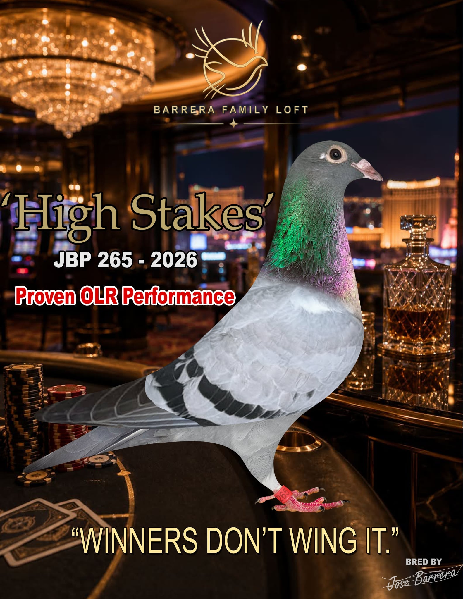 High Stakes JBP 265-2026 racing pigeon from Barrera Family Loft