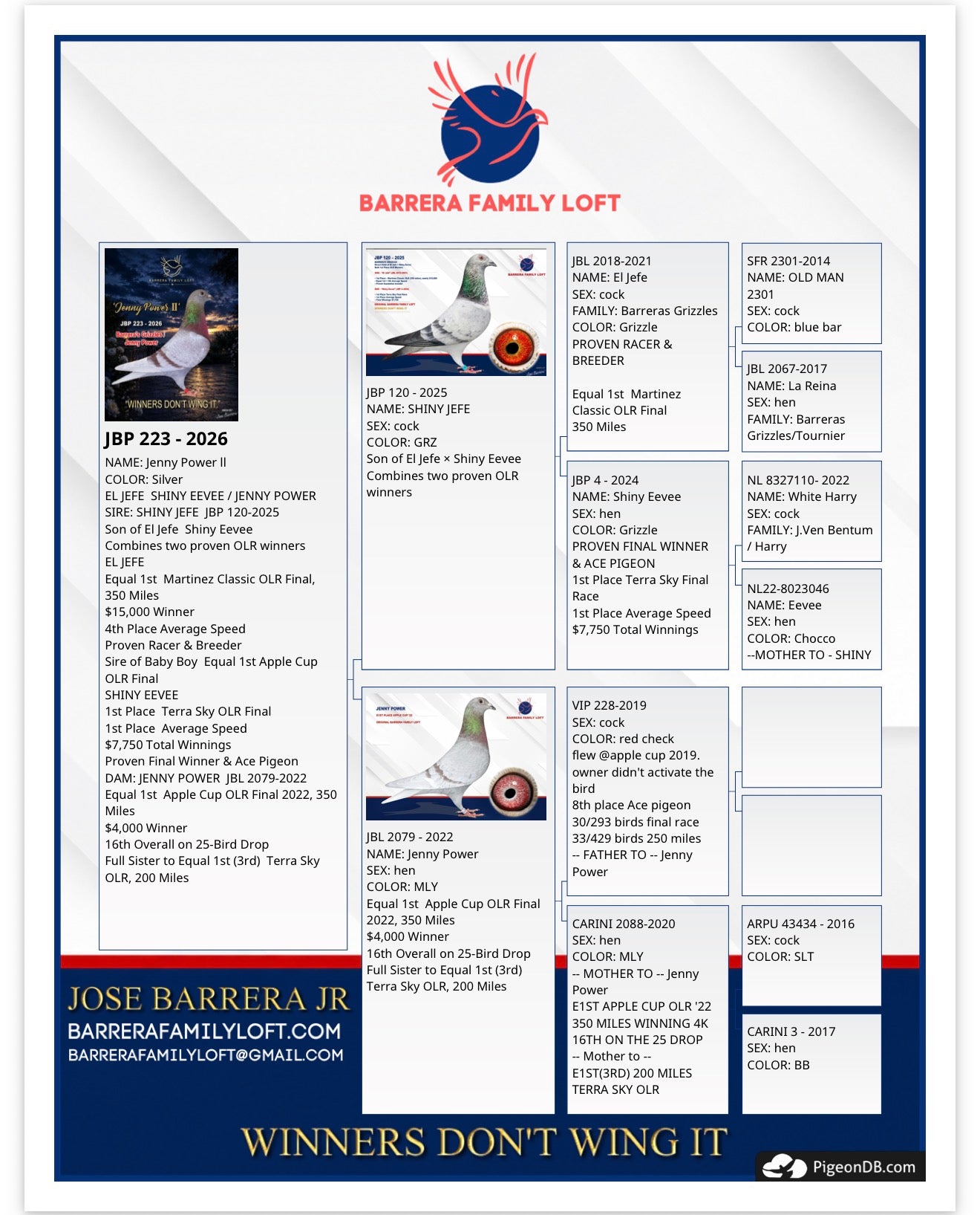 Jenny Power II JBP 223-2026 pedigree card