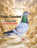 White Chocolate JBP 242-2026 racing pigeon from Barrera Family Loft