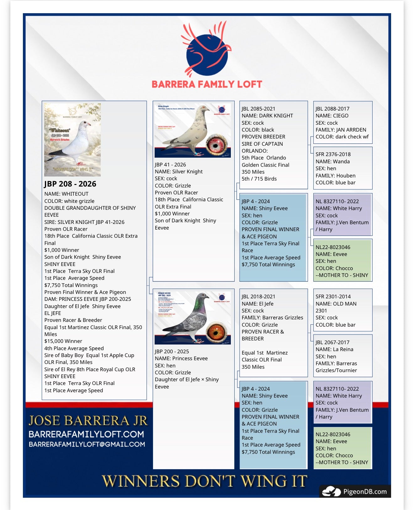Whiteout JBP 208-2026 pedigree card
